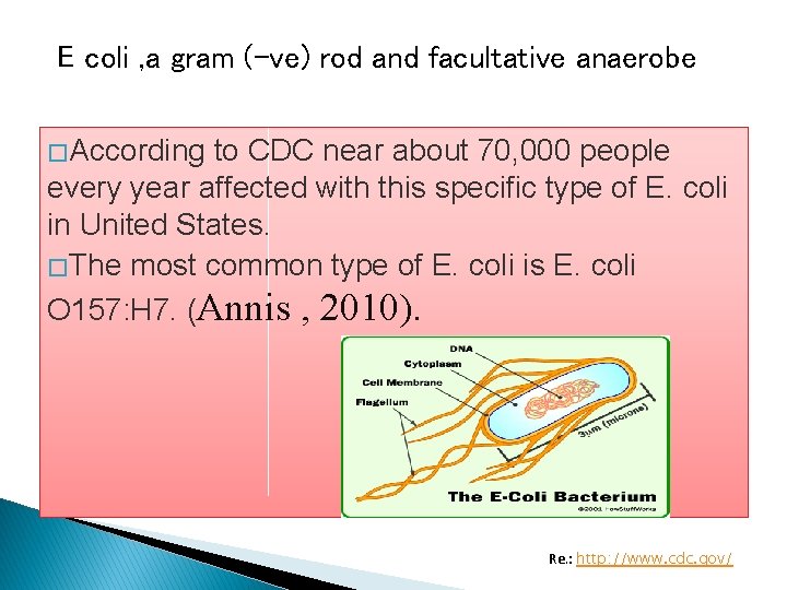 E coli , a gram (-ve) rod and facultative anaerobe � According to CDC