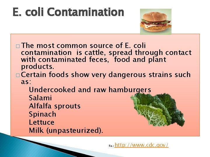 E. coli Contamination � The most common source of E. coli contamination is cattle,