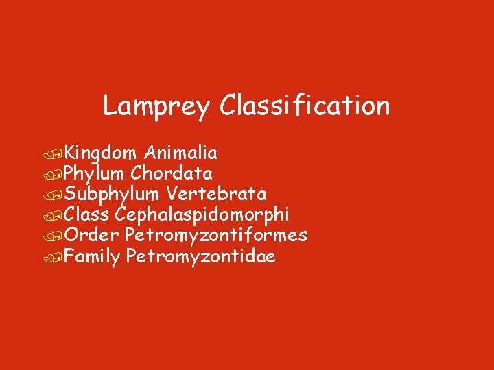 Lamprey Classification /Kingdom Animalia /Phylum Chordata /Subphylum Vertebrata /Class Cephalaspidomorphi /Order Petromyzontiformes /Family Petromyzontidae