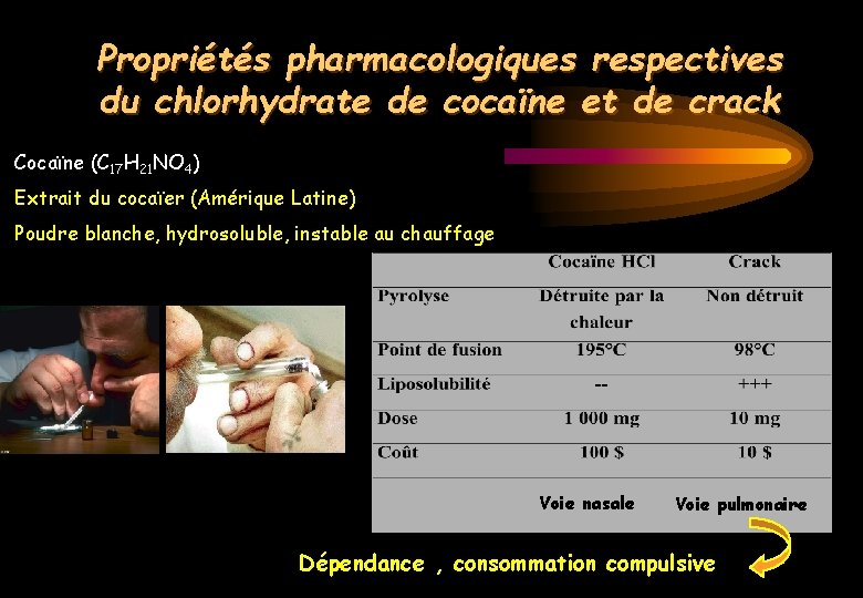 Propriétés pharmacologiques respectives du chlorhydrate de cocaïne et de crack Cocaïne (C 17 H