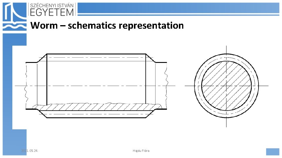 Worm – schematics representation 2021. 05. 24. Hajdu Flóra 