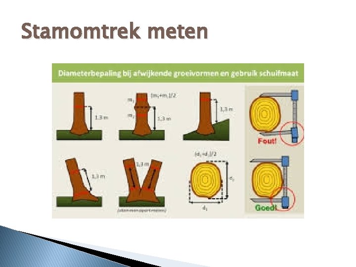 Stamomtrek meten 