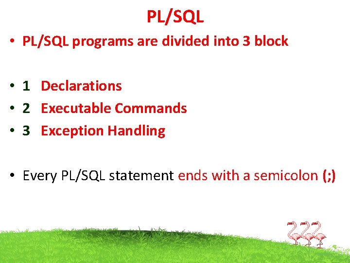 PL/SQL • PL/SQL programs are divided into 3 block • 1 Declarations • 2