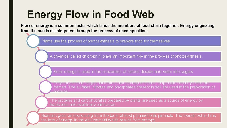 Energy Flow in Food Web Flow of energy is a common factor which binds