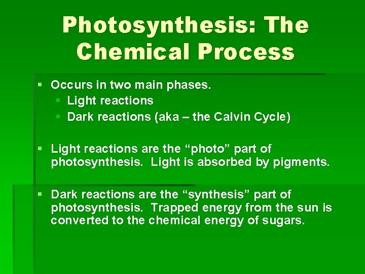 Photosynthesis: The Chemical Process § Occurs in two main phases. § Light reactions §