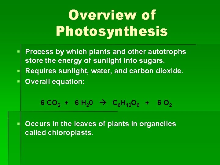Overview of Photosynthesis § Process by which plants and other autotrophs store the energy