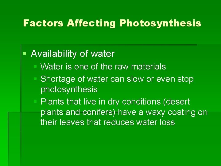 Factors Affecting Photosynthesis § Availability of water § Water is one of the raw
