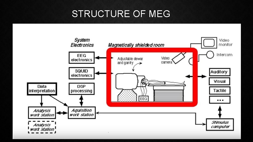 STRUCTURE OF MEG 