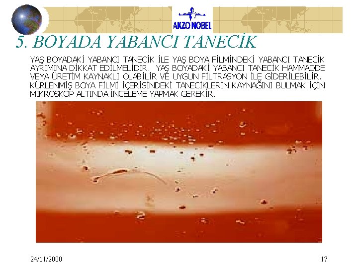 5. BOYADA YABANCI TANECİK YAŞ BOYADAKİ YABANCI TANECİK İLE YAŞ BOYA FİLMİNDEKİ YABANCI TANECİK 5. BOYADA YABANCI TANECİK YAŞ BOYADAKİ YABANCI TANECİK İLE YAŞ BOYA FİLMİNDEKİ YABANCI TANECİK