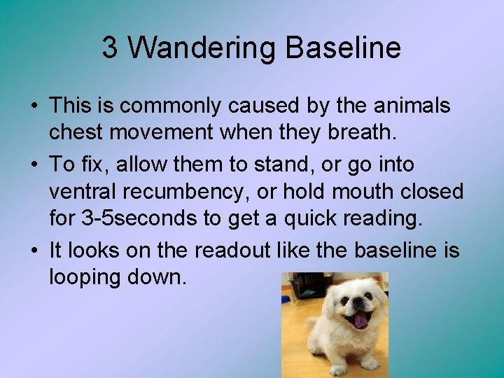 3 Wandering Baseline • This is commonly caused by the animals chest movement when