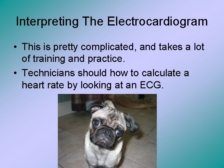 Interpreting The Electrocardiogram • This is pretty complicated, and takes a lot of training