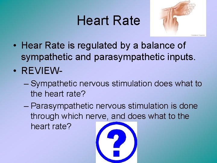 Heart Rate • Hear Rate is regulated by a balance of sympathetic and parasympathetic