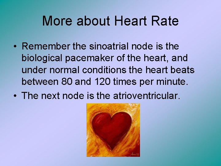 More about Heart Rate • Remember the sinoatrial node is the biological pacemaker of