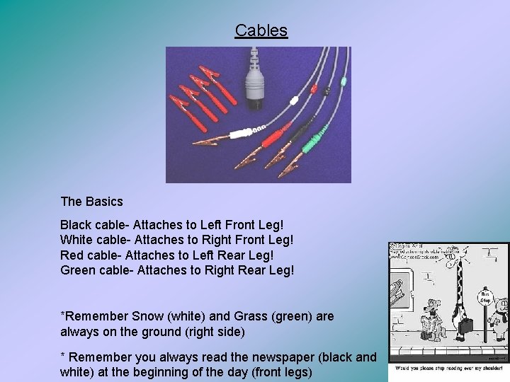 Cables The Basics Black cable- Attaches to Left Front Leg! White cable- Attaches to