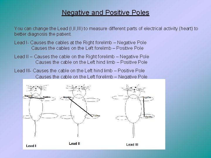 Negative and Positive Poles You can change the Lead (I, III) to measure different