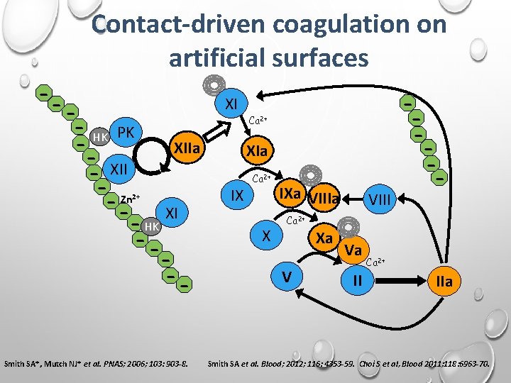 Contact-driven coagulation on artificial surfaces - -- HK PK XIIa - XII - Zn