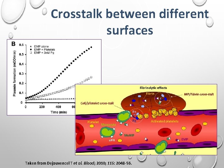Crosstalk between different surfaces Taken from Dejouvencel T et al. Blood; 2010; 115: 2048