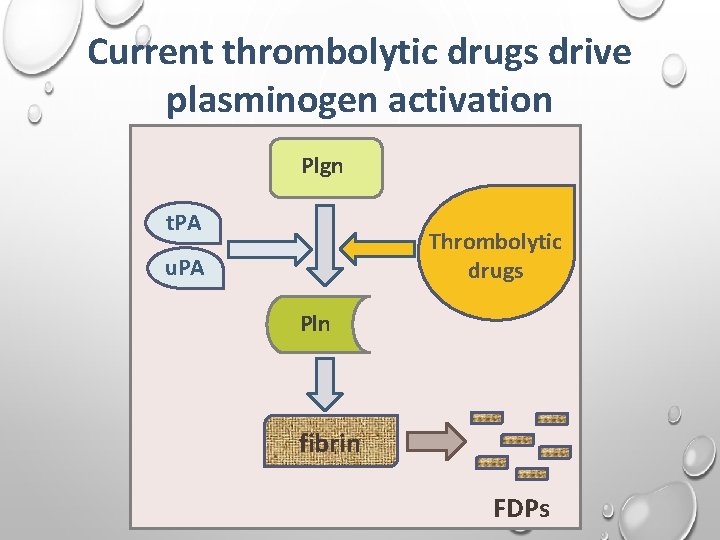 Current thrombolytic drugs drive plasminogen activation Plgn t. PA Thrombolytic drugs u. PA Pln