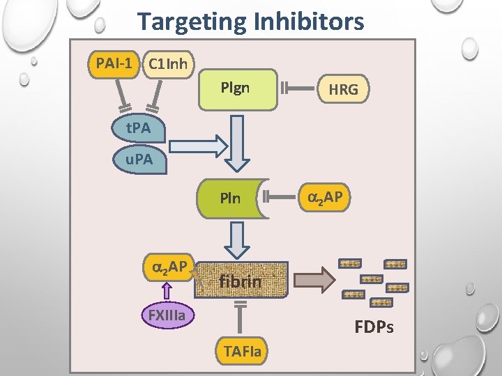 Targeting Inhibitors PAI-1 C 1 Inh Plgn HRG t. PA u. PA Pln 2