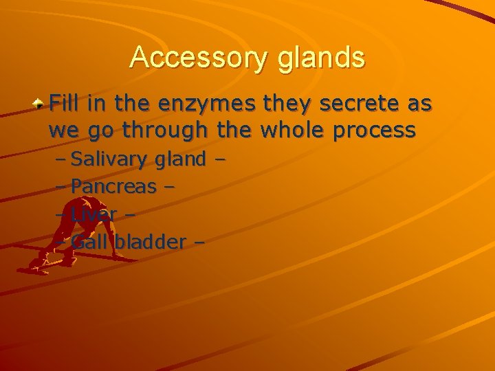 Accessory glands Fill in the enzymes they secrete as we go through the whole