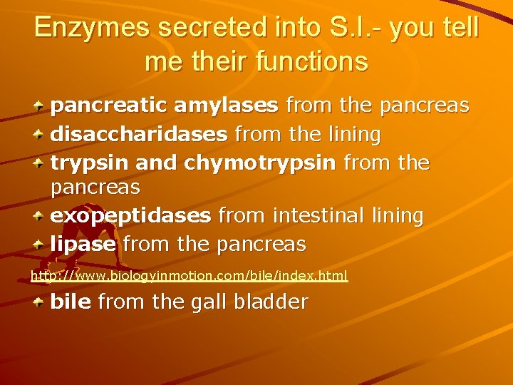 Enzymes secreted into S. I. - you tell me their functions pancreatic amylases from