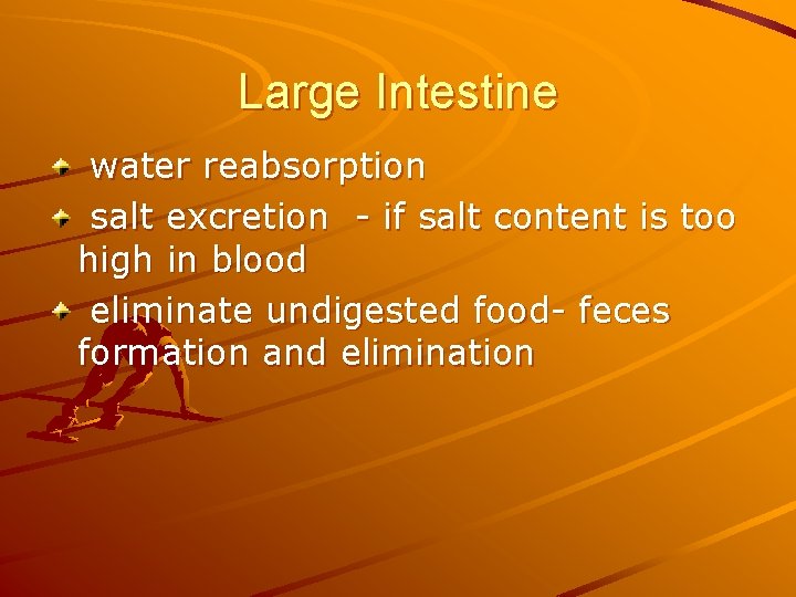 Large Intestine water reabsorption salt excretion - if salt content is too high in