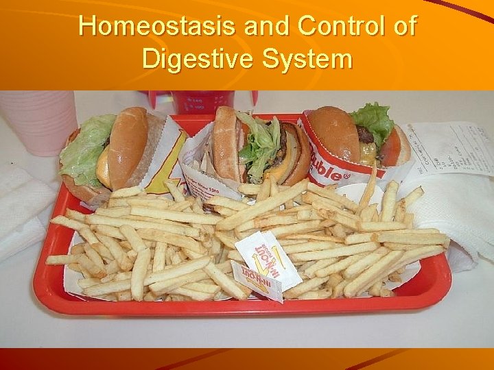 Homeostasis and Control of Digestive System Nervous system – Smelling, tasting and seeing (hearing