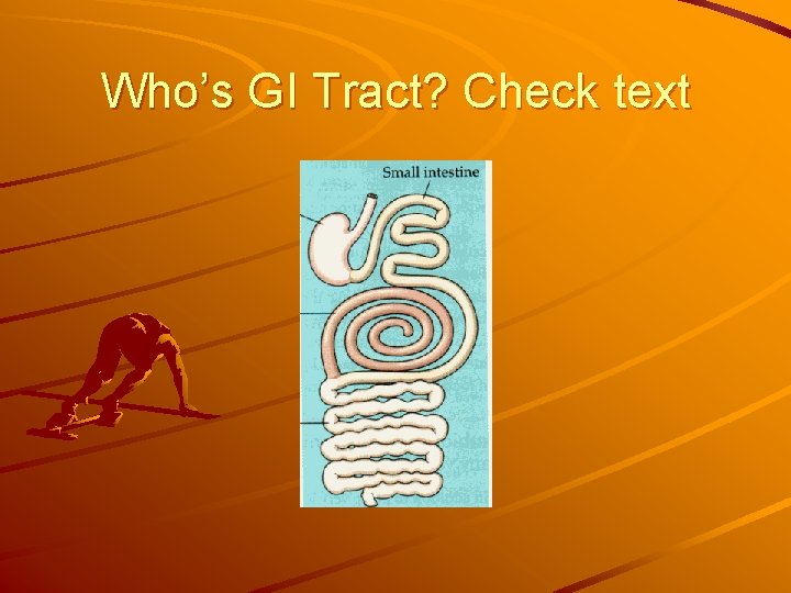 Who’s GI Tract? Check text 