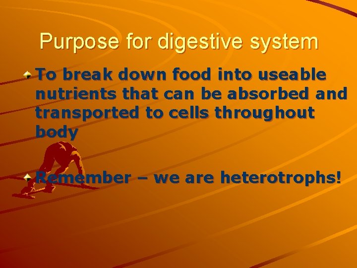 Purpose for digestive system To break down food into useable nutrients that can be