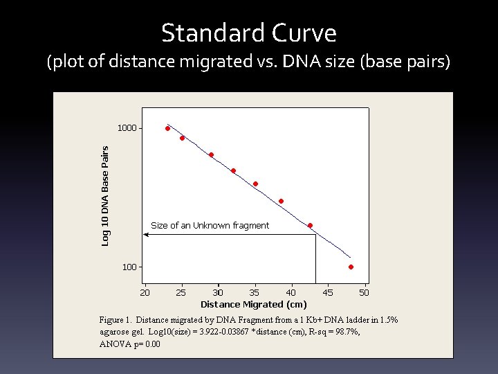 Standard Curve (plot of distance migrated vs. DNA size (base pairs) 