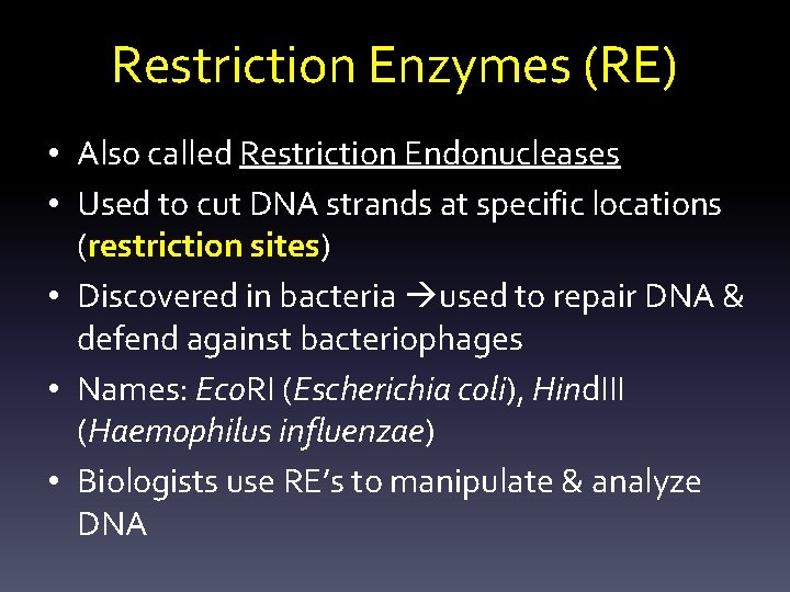 Restriction Enzymes (RE) • Also called Restriction Endonucleases • Used to cut DNA strands