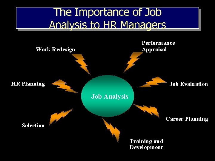 The Importance of Job Analysis to HR Managers Performance Appraisal Work Redesign HR Planning