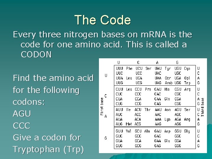 The Code Every three nitrogen bases on m. RNA is the code for one