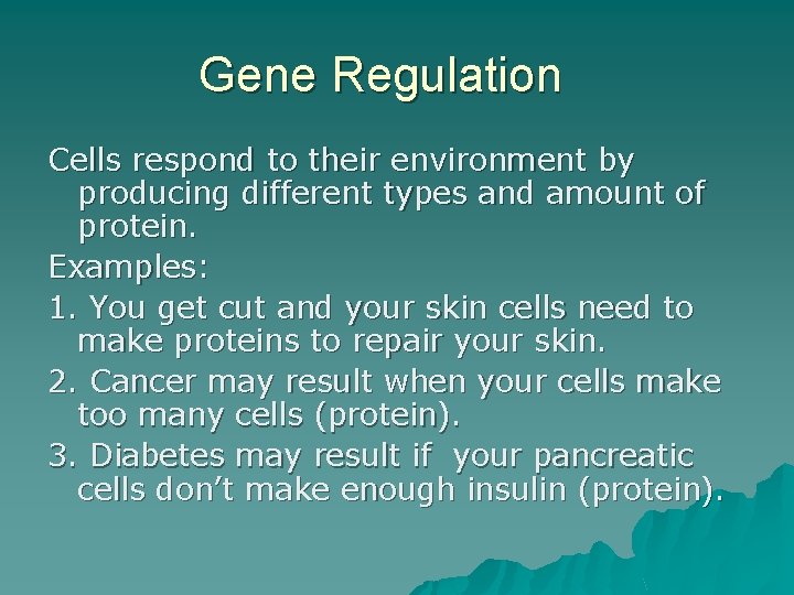 Gene Regulation Cells respond to their environment by producing different types and amount of