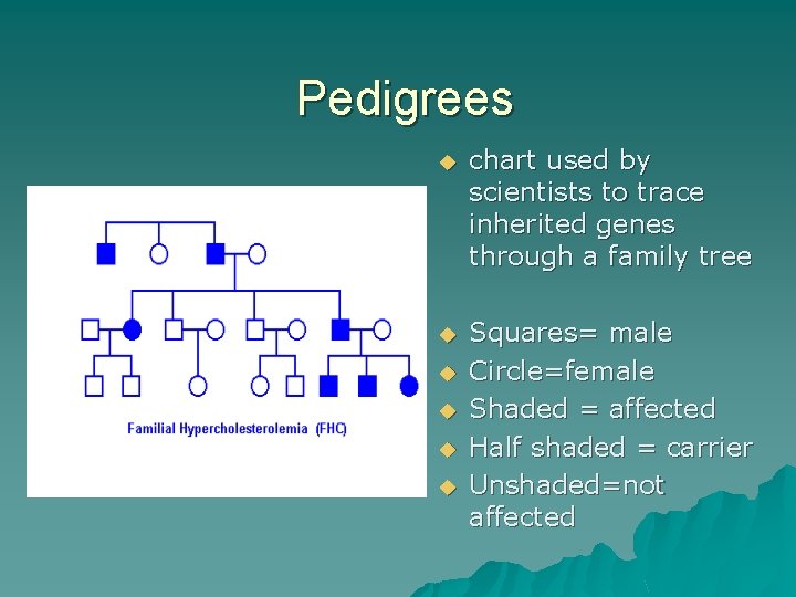 Pedigrees u chart used by scientists to trace inherited genes through a family tree