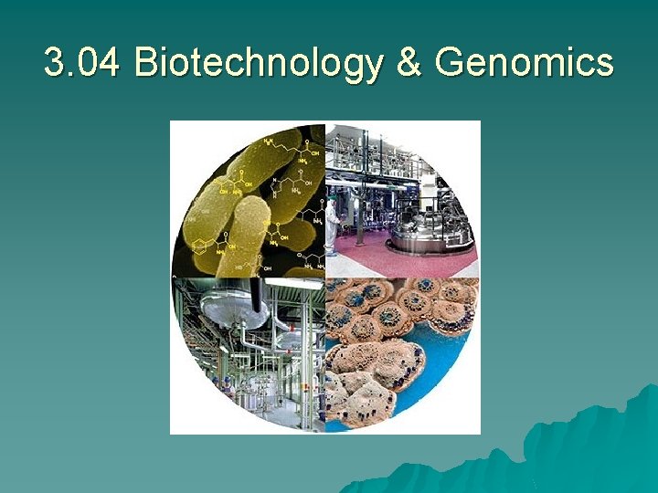 3. 04 Biotechnology & Genomics 