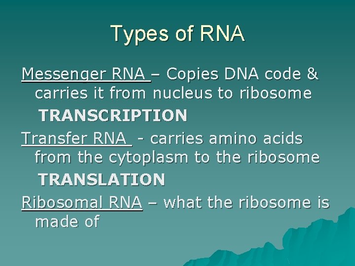 Types of RNA Messenger RNA – Copies DNA code & carries it from nucleus