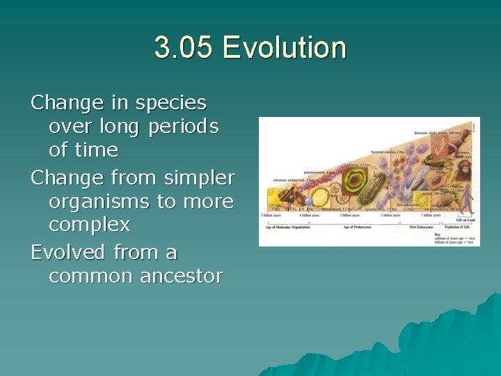 3. 05 Evolution Change in species over long periods of time Change from simpler