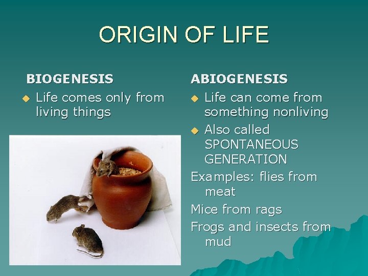 ORIGIN OF LIFE BIOGENESIS u Life comes only from living things ABIOGENESIS u Life