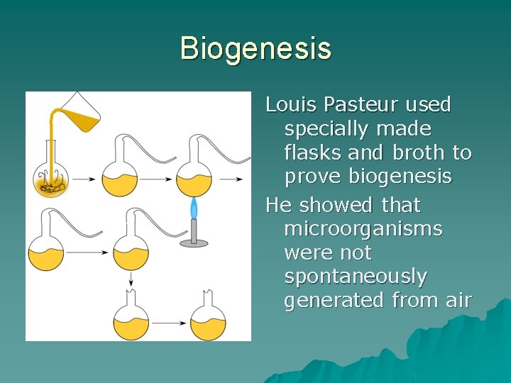 Biogenesis Louis Pasteur used specially made flasks and broth to prove biogenesis He showed