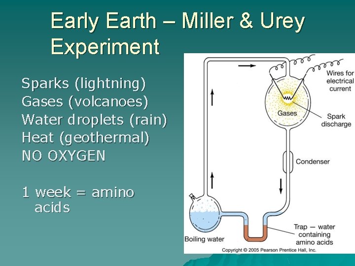 Early Earth – Miller & Urey Experiment Sparks (lightning) Gases (volcanoes) Water droplets (rain)