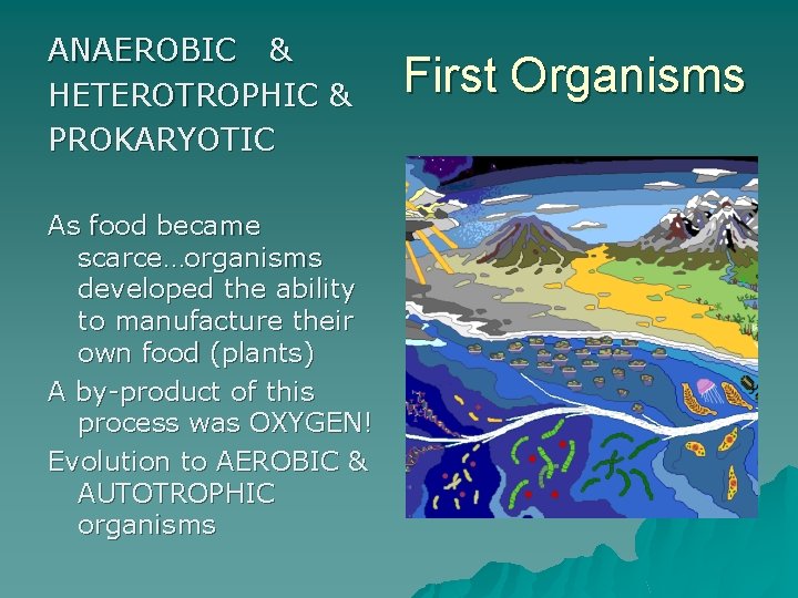 ANAEROBIC & HETEROTROPHIC & PROKARYOTIC As food became scarce…organisms developed the ability to manufacture