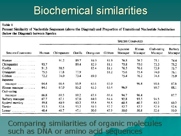 Biochemical similarities Comparing similarities of organic molecules such as DNA or amino acid sequences