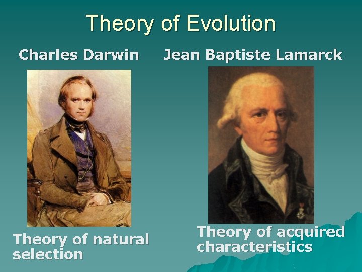 Theory of Evolution Charles Darwin Theory of natural selection Jean Baptiste Lamarck Theory of