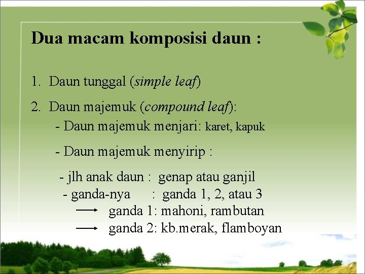 Dua macam komposisi daun : 1. Daun tunggal (simple leaf) 2. Daun majemuk (compound