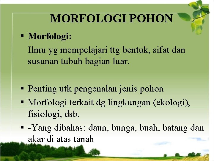 MORFOLOGI POHON § Morfologi: Ilmu yg mempelajari ttg bentuk, sifat dan susunan tubuh bagian