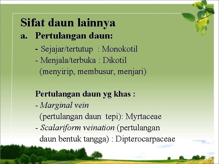 Sifat daun lainnya a. Pertulangan daun: - Sejajar/tertutup : Monokotil - Menjala/terbuka : Dikotil