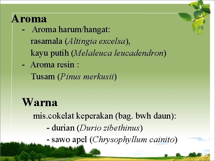 Aroma - Aroma harum/hangat: rasamala (Altingia excelsa), kayu putih (Melaleucadendron) - Aroma resin :