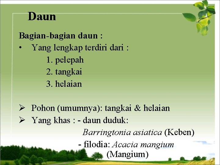 Daun Bagian-bagian daun : • Yang lengkap terdiri dari : 1. pelepah 2. tangkai