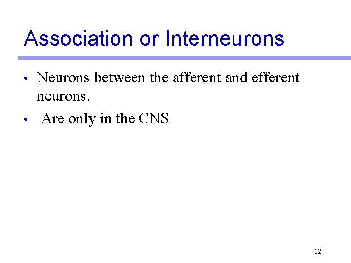 Association or Interneurons • • Neurons between the afferent and efferent neurons. Are only